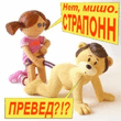 Straponn.jpg