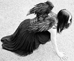 angel.jpg