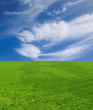 wp72.jpg