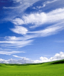 wp74.jpg