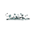 tn_photo23.gif