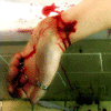 av_25131.gif