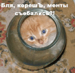 Шкера.jpg