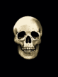 040322_skull.gif