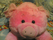 11112006_004_.jpg