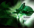 windows_04.jpg