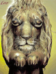 leo.jpg