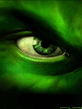 Hulks_Eye.jpg