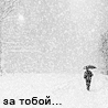 av.gif