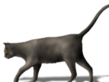 blackcat.gif
