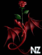 Rose..jpeg
