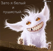 Белый и пушистый.jpg