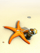 Starfish.jpg