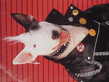 dsc00011.jpg