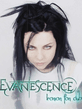 Amy_Lee.jpg