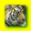 tn_zoo_101_.jpg