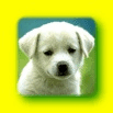 tn_zoo_105_.jpg