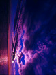 885_ext_1_001.jpg