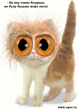 cat5.jpg