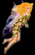 5.gif