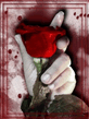 Red_Rose.jpg