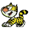 kotenok.gif