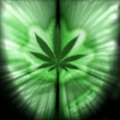 Marihuana.jpg