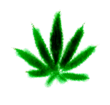 Travka2.gif