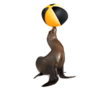 tulen.gif