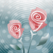 01.gif