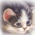 animals102_small.jpg