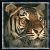 animals12_small.jpg