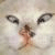 animals105_small.jpg