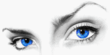 11_2.gif