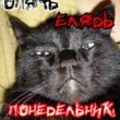 7800_128.jpg