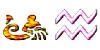 aquaruis.gif