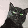 4d3509e7e7a7.gif