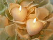 11_hearts_54588.jpg