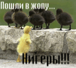 _835_K_.jpg