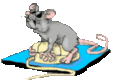 _miwka_miwkv_prikol_.gif