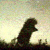 144706_1.gif