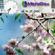 Vesna.gif