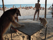 kazantip.jpg