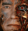 Arnold.gif