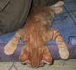 Viv4.gif