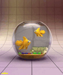 aquarium_9jxfzwlh.jpg
