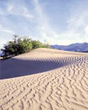 Nature_002.jpg