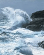 Nature_004.jpg