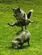 wolf.jpg