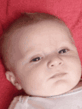 BABY.gif